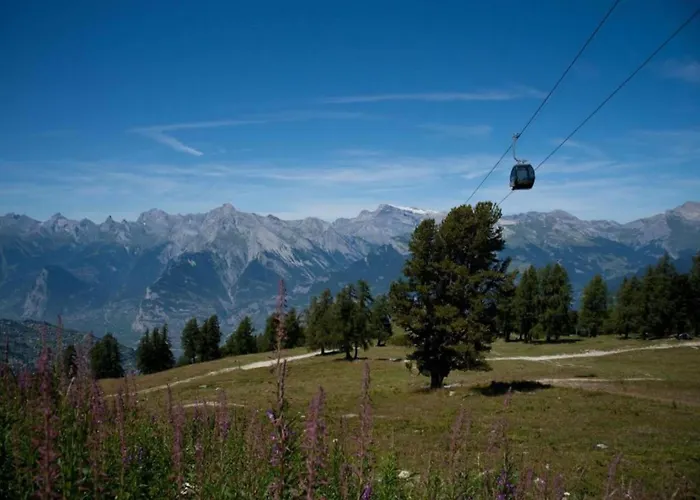 Alluring In The Heart Of Valley Lejlighed Veysonnaz